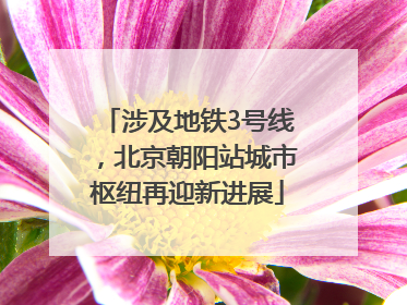 涉及地铁3号线，北京朝阳站城市枢纽再迎新进展