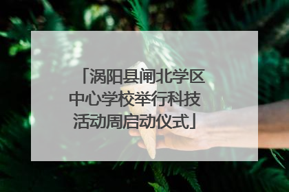 涡阳县闸北学区中心学校举行科技活动周启动仪式