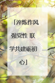 淬炼作风强党性 联学共建砺初心