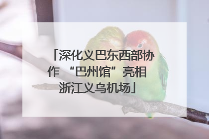 深化义巴东西部协作 “巴州馆”亮相浙江义乌机场