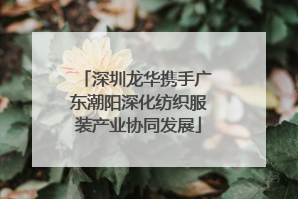深圳龙华携手广东潮阳深化纺织服装产业协同发展