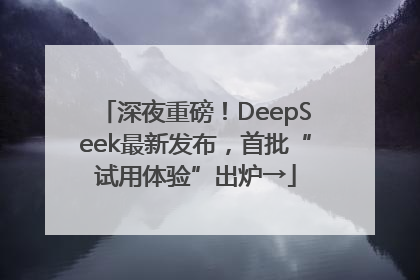深夜重磅！DeepSeek最新发布，首批“试用体验”出炉→
