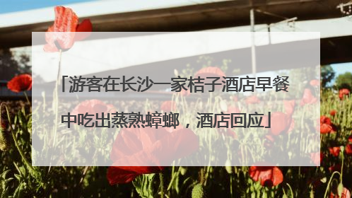游客在长沙一家桔子酒店早餐中吃出蒸熟蟑螂，酒店回应