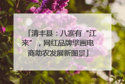 清丰县：八寨有“江来”，网红品牌擘画电商助农发展新图景