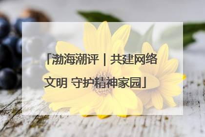 渤海潮评｜共建网络文明 守护精神家园
