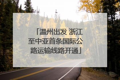 温州出发 浙江至中亚首条国际公路运输线路开通