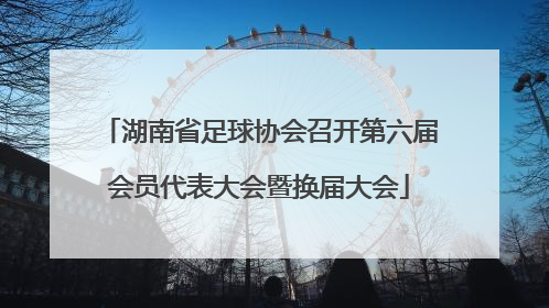 湖南省足球协会召开第六届会员代表大会暨换届大会