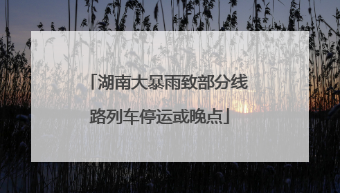 湖南大暴雨致部分线路列车停运或晚点