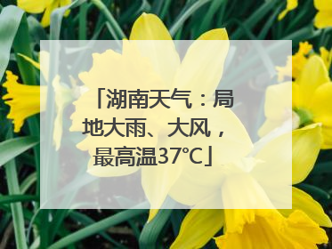 湖南天气：局地大雨、大风，最高温37℃