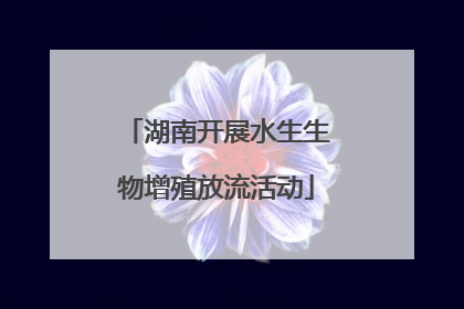 湖南开展水生生物增殖放流活动