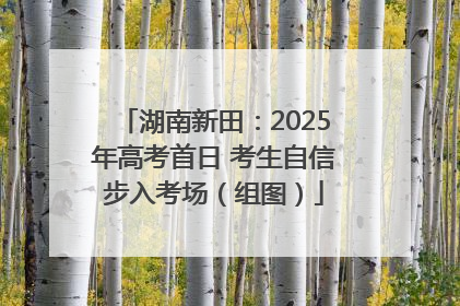 湖南新田：2025年高考首日 考生自信步入考场（组图）