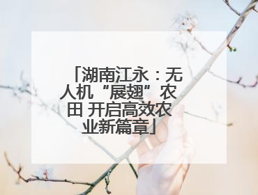 湖南江永：无人机“展翅”农田 开启高效农业新篇章