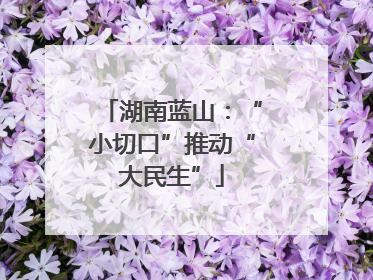 湖南蓝山：“小切口”推动“大民生”