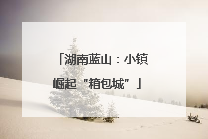 湖南蓝山：小镇崛起“箱包城”