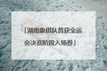 湖南象棋队首获全运会决赛阶段入场券