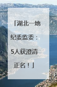 湖北一地纪委监委：5人获澄清正名！