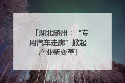 湖北随州：“专用汽车走廊”掀起产业新变革