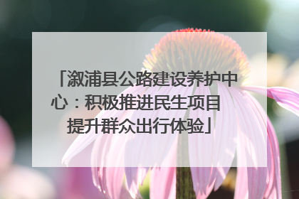 溆浦县公路建设养护中心：积极推进民生项目 提升群众出行体验