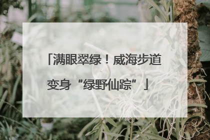 满眼翠绿！威海步道变身“绿野仙踪”