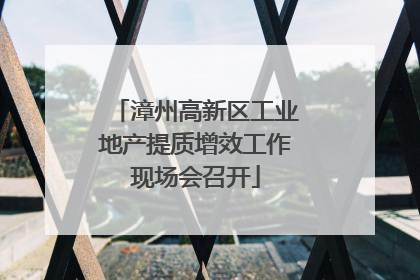 漳州高新区工业地产提质增效工作现场会召开
