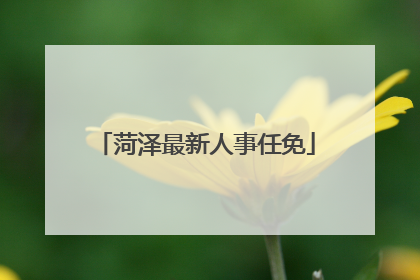 菏泽最新人事任免