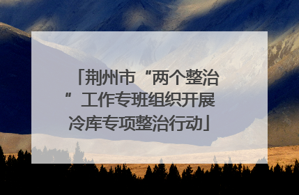 荆州市“两个整治”工作专班组织开展冷库专项整治行动