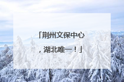 荆州文保中心，湖北唯一！