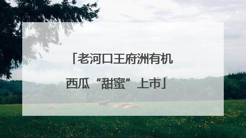 老河口王府洲有机西瓜“甜蜜”上市