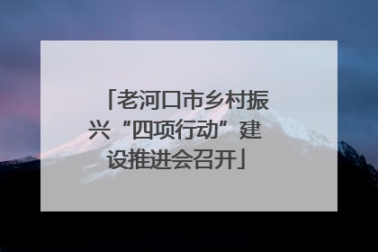 老河口市乡村振兴“四项行动”建设推进会召开