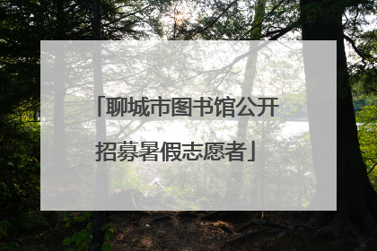 聊城市图书馆公开招募暑假志愿者