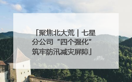 聚焦北大荒｜七星分公司“四个强化”筑牢防汛减灾屏障