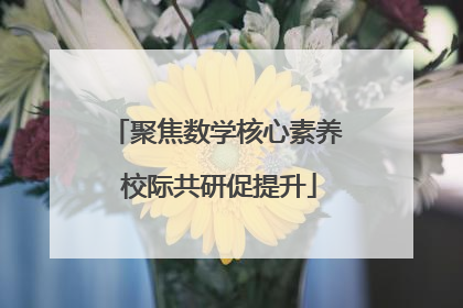 聚焦数学核心素养 校际共研促提升