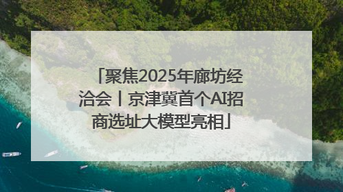 聚焦2025年廊坊经洽会丨京津冀首个AI招商选址大模型亮相