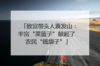 致富带头人袁发山：丰富“菜篮子”鼓起了农民“钱袋子”
