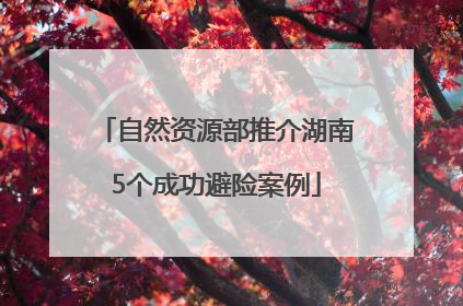 自然资源部推介湖南5个成功避险案例