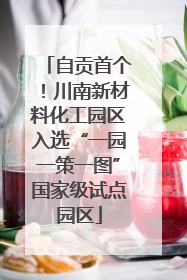 自贡首个！川南新材料化工园区入选“一园一策一图”国家级试点园区