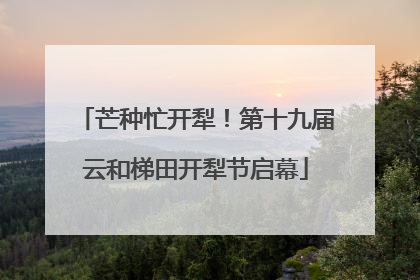 芒种忙开犁！第十九届云和梯田开犁节启幕