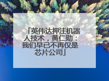 英伟达押注机器人技术，黄仁勋：我们早已不再仅是芯片公司
