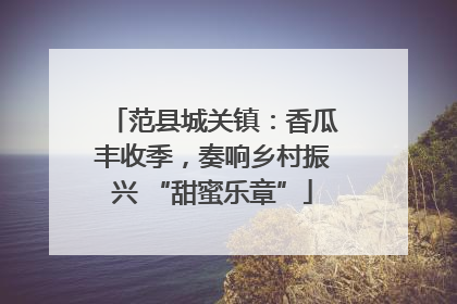 范县城关镇：香瓜丰收季，奏响乡村振兴 “甜蜜乐章”