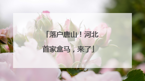 落户唐山！河北首家盒马，来了