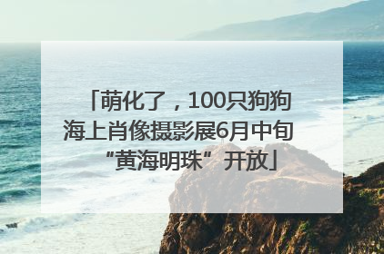 萌化了，100只狗狗海上肖像摄影展6月中旬“黄海明珠”开放