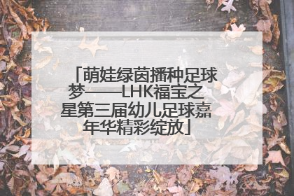 萌娃绿茵播种足球梦——LHK福宝之星第三届幼儿足球嘉年华精彩绽放