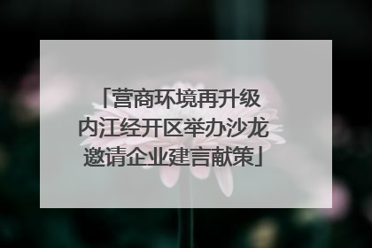 营商环境再升级 内江经开区举办沙龙邀请企业建言献策