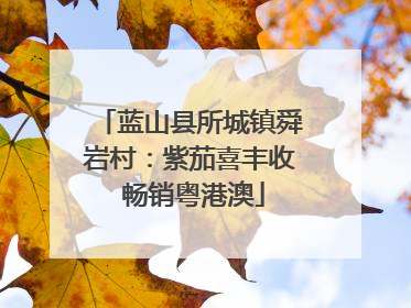 蓝山县所城镇舜岩村：紫茄喜丰收 畅销粤港澳