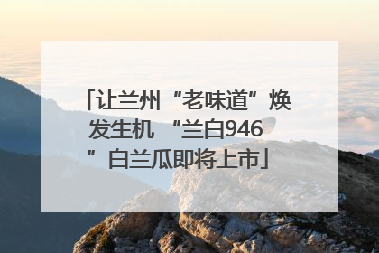 让兰州“老味道”焕发生机 “兰白946”白兰瓜即将上市