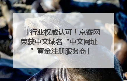 行业权威认可！京客网荣获中文域名“中文网址”黄金注册服务商
