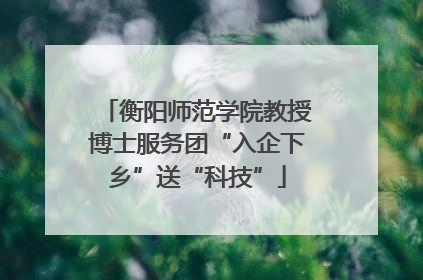 衡阳师范学院教授博士服务团“入企下乡”送“科技”
