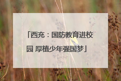 西充：国防教育进校园 厚植少年强国梦