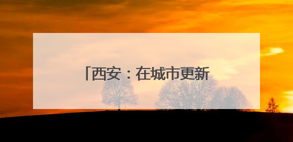 西安：在城市更新中守护好文化遗产