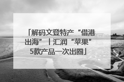 解码文登特产“借港出海”丨汇润“苹果”5款产品一次出圈